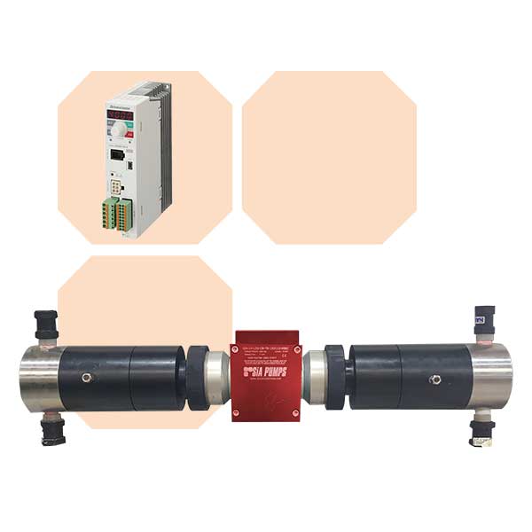 SiA Chemical Injection Pump, AC Driven, Heavy Duty Drive with Remote Variable Speed Controller and Duplex Configuration